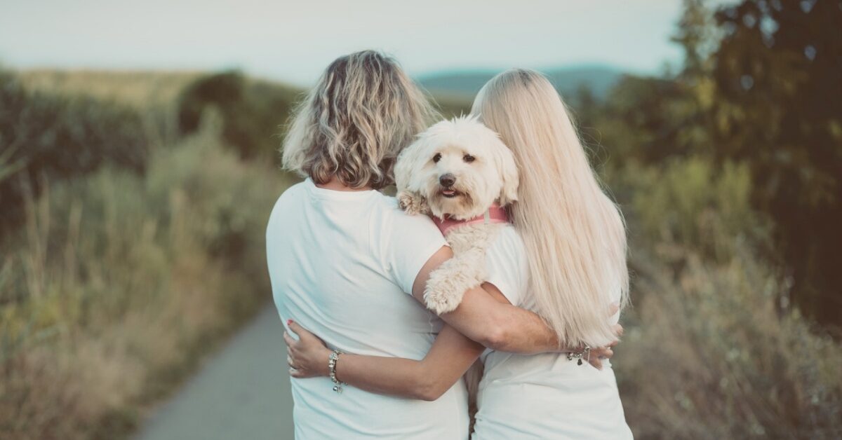 Ecco Perch Quando Ci Abbracciamo Il Nostro Cane Si Mette In Mezzo