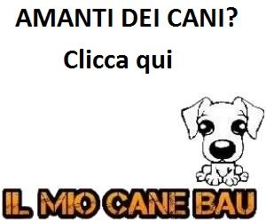 Una bimba inciampa e trova una boxerina dentro una fossa, lasciata da qualcuno a morire. Lei sa perfettamente cosa deve fare…