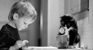 Queste 20 Splendide Fotografie Dimostrano Che Ogni Bambino Ha Bisogno Di Un Gatto