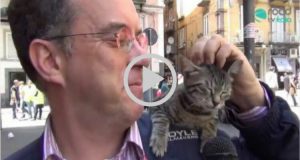 L’uomo che va in giro con il suo gatto sulla spalla “sempre”!