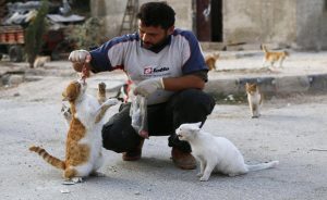 Decide Di Rimanere In Siria A Prendersi Cura Dei Gatti Abbandonati Dalle Famiglie In Fuga