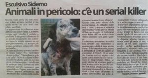 Animali In Pericolo: Per Le Strade Di Siderno C’è Un Serial Killer