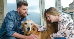 Stavamo preparando il nostro matrimonio quando abbiamo saputo che a Dood, il nostro amato cane, mancavano poche settimane di vita. C’era tanto da fare ancora e non abbiamo avuto altra scelta.