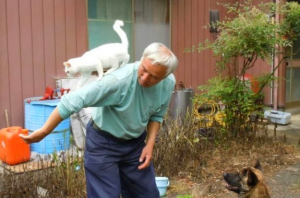 I Cani Del Rifugio Per Animali Sono Tristi. Guardate Come Questi Bambini Hanno Pensato Di Aiutarli