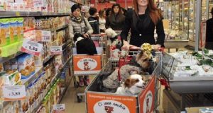 Ha prestato soccorso in 4 terremoti, ad Amatrice scava e trova i suoi figli morti sotto le macerie. Lui non può fare nulla. Laga, la sua cagnolina piange e scava con lui in un punto preciso perché