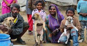 Questa famiglia è cosi povera che non hanno nemmeno le scarpe, ma quello che fanno per amore degli animali è davvero ammirevole.