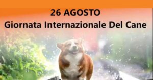 26 Agosto Giornata internazionale del cane, perché li festeggiamo