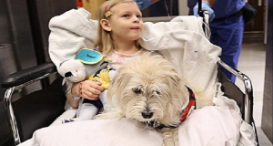 “Era un randagio e io gli avevo fatto solo una carezza. Quando sono tornata, dopo sei mesi, ho capito che era rimasto lì per me. Quando un cane ci sceglie non possiamo rifiutarci. Nonostante gli ostacoli, Rubio ha seguito solo il suo cuore”