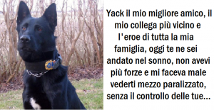 La lettera del poliziotto al suo cane deceduto che ha commosso migliaia di amanti degli animali