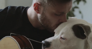 Pubblica una foto con il suo bulldog, 4 ore dopo gli sequestrano il cane e rischia l’arresto a causa di quell’immagine…Ecco l’incredibile storia