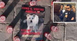 Angelo: dopo l’intervista delle Iene che ha alimentato l’ira degli animalisti, il sindaco ed i cittadini del paesino non vogliono essere accusati di “omertosi”, parlano al tg3