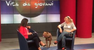 Palla torna in TV per la gioia di tutti i suoi fans e l’argomento scelto è il rapporto tra cani e bambini