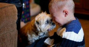 E’ con immenso piacere che vi mostriamo il perché vostro figlio sceglierà il suo cane o gatto a voi, non disperatevi genitori e lottate con le vostre armi…