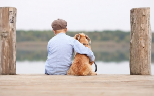 Questa Gatta Randagia Rinuncia Alla Vita Di Strada Per Dare Un Posto Sicuro Ai Sui Cuccioli.