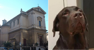 Viene pubblicamente umiliata dal sacerdote per essere entrata in chiesa con il suo cane: “Mi sono sentita umiliata quando il sacerdote ha preso il microfono e mi ha intimato di andarmene”.