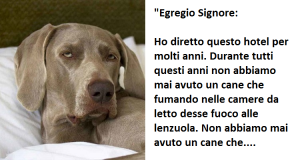 Un uomo chiede se può portare il suo cane all’albergo. La risposta del direttore è geniale!!