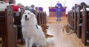 Parioli. Entra con il cane in chiesa e il parroco la manda via durante la messa