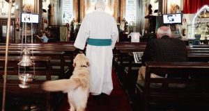 “La mia chiesa è aperta 24 ore su 24, ha la wifi e accoglie tutti… anche gli animali. Loro non hanno una voce e io voglio essere la loro voce”