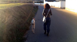 “Lo so che perderò il posto di lavoro ma basta tacere, si muovono ancora e io non ce la faccio più!”La più grande denuncia del 2016 filmata e dettagliata da un operaio de…