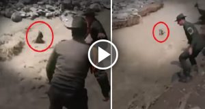 Il cane sta annegando mentre la forte corrente di un fiume in piena lo sta trascinando via. Quello che fanno i poliziotti per lui vi colpirà dritto al cuore.