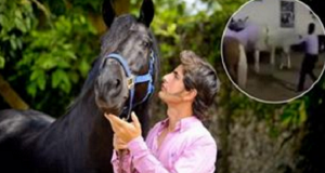 Il video shock di Emiliano Gamero mentre colpisce brutalmente il suo cavallo, ha fatto il giro del web indignando migliaia di persone.