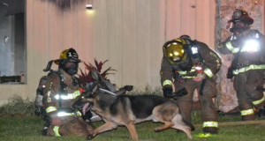 “Ci hanno chiamato allarmandoci di una casa in fiamme, così ci siamo precipitati sul posto. La struttura iniziava a crollare, abbiamo sfondato la porta e portato in salvo la famiglia. Poi all’improvviso un cane è sbucato dal nulla, abbaiava e voleva essere seguito. Ci ha portato in una stanza per mostraci qualcosa. Non si vedeva nulla ma lui insisteva, finché alla fine siamo riusciti a vedere…”