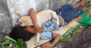 Questa toccante foto ha fatto il giro del mondo, a noi ha insospettito e siamo andati a scoprire qualcosa in più…