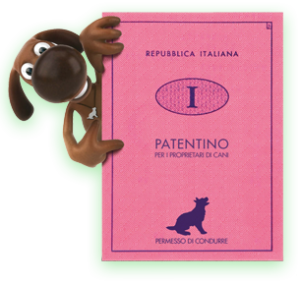 “L’ho trovato sul ciglio della strada bagnato e sofferente sotto una pioggia incessante. L’ho raccolto con le lacrime agli occhi e 9 settimane dopo…