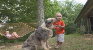 “Il cane è sempre stato ‘innamorato’ di Bryson, ecco perché siamo rimasti scioccati quando abbiamo visto Shiloh ringhiare infuriato verso il nostro bambino. Nonostante lo chiamassimo non smetteva di fissare nostro figlio ringhiando, finché si è buttato.”