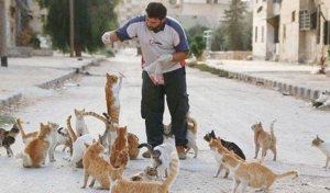 “Ha deciso di prendersela con il nostro gattino per farla pagare a noi. Era completamente ubriaca e il suo era un vero delirio. Il mio piccolo amore è morto e lei…