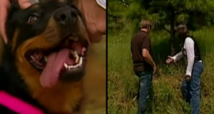 Kathy stava facendo una passeggiata quando si è imbattuta in un rottweiler abbandonato sul ciglio della strada. Ha deciso di aiutarlo e l’ha portato a casa con se ma c’era qualcosa che continuava a tormentarla. Così, è tornata sul posto e ha scoperto una cosa che le ha fatto spalancare la bocca!