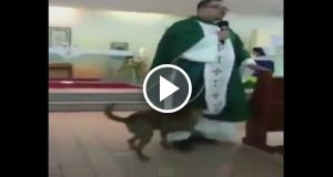 “Era la prima volta che assistevo alla messa in quella chiesa, quando è entrato un cane randagio e si è diretto verso il parroco. Ho preso il telefonino e ho cominciato a filmare convinto che sarebbe accaduto qualcosa e infatti…”