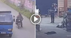 Il cagnolino corre a casa per dare l’ultimo addio alla sua famiglia, dopo che degli uomini in motocicletta, gli sparano un dardo avvelenato.