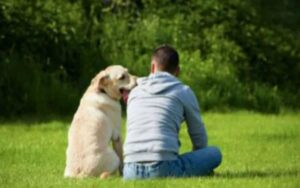 Perché il vostro cane è triste se vi succede qualcosa e siete tristi