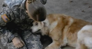 ‘Ho visto quel vecchio cane che piangeva e quella donna in uniforme in ginocchio, che lo teneva tra le braccia.’