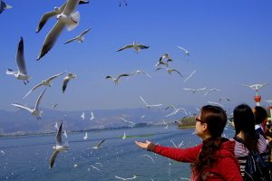 ‘Ogni volta che portavo la posta Tashi veniva a salutarmi scodinzolando. Quando non l’ho più visto ho immaginato che qualcosa di terribile fosse successo. Non riuscivo a darmi pace e così ho deciso di suonare alla porta e domandare di lui. Quello che mi hanno detto i proprietari mi ha fatto prendere una decisione importante’