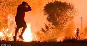 Il loro papà umano chiede: “ok ragazzi, dove andiamo?” e, quando i cani capiscono la destinazione, hanno una reazione