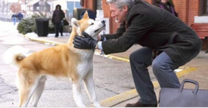 Siamo sicuri che non tutti sono abbastanza grati al proprio cane. Qui ti diamo 15 ragioni per amarlo ancora di più