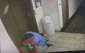 Video: direttore dell’hotel salva il cane che si stava strozzando in ascensore