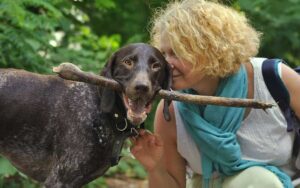 Facendo queste 5 cose il tuo cane ti dice che ti ama ma molti non lo sanno