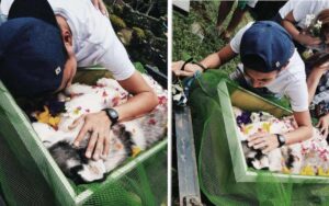 L’addio del giovane al suo amato cucciolo dopo una lunga lotta per salvarlo