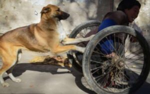 Donna vive per strada e purtroppo non ha l’uso delle gambe. Al suo fianco c’è un cane che si prende cura di lei