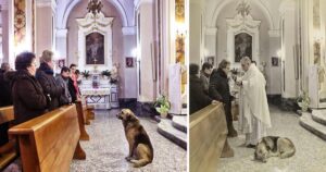 Cucciolo si rifiuta di lasciare la chiesa dopo la morte della mamma umana