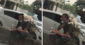 Il lavoratore “di strada” condivide il suo cibo con un cucciolo sulla schiena