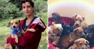 Ragazzo di 17 anni realizza il suo sogno di aprire un rifugio; ha 22 cani e 4 gatti