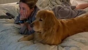 Cagnolone Brady è concentrato nel vedere il film che ha scelto (VIDEO)