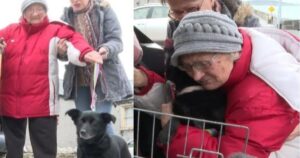 Nonnina Ucraina piange quando rivede il suo cane: si era separata da lui a causa della guerra (VIDEO)