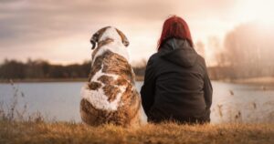 Sapevi che i cani sanno prima della loro proprietaria quando lei è incinta? Ecco come fanno