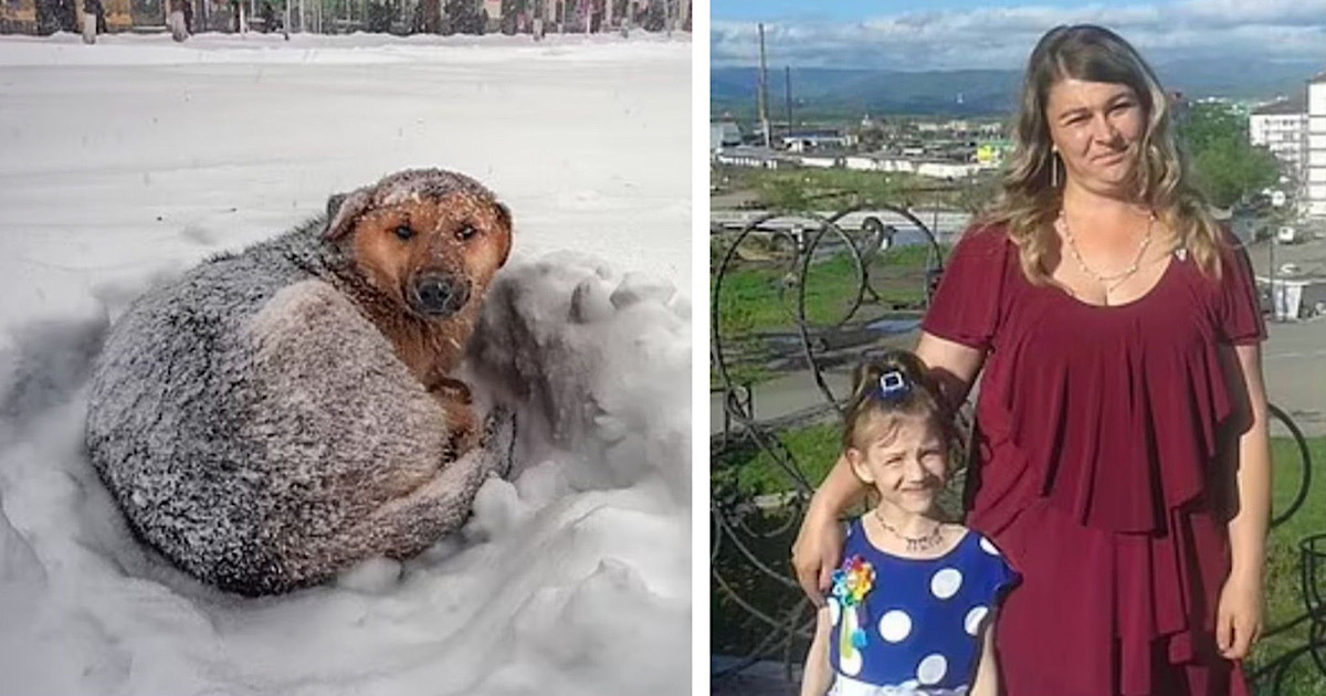 La storia di Vika, bambina di 10 anni sorpresa dalla tempesta di neve e  sopravvissuta una notte al gelo abbracciata a un cane randagio - La Stampa