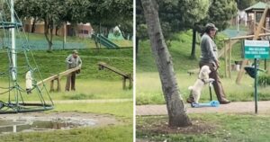 L’uomo porta il suo cucciolo a divertirsi al parco giochi (VIDEO)